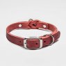 riverside park merlot collar