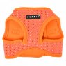 bonnie harness B orange1