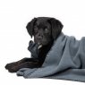 Dog blanket soft blue1